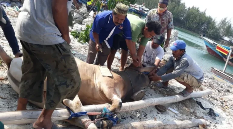 Idul Adha Momentum Memperkuat Solidaritas