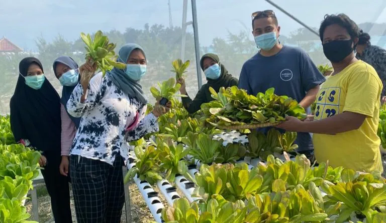 Read more about the article Dukung Poktan PKH di Kepulauan Seribu, Wibi: Kita Butuh Petani Milenial