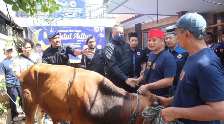 Sambut HUT, Garda Pemuda NasDem DKI Gelar Penyembelihan Hewan Kurban
