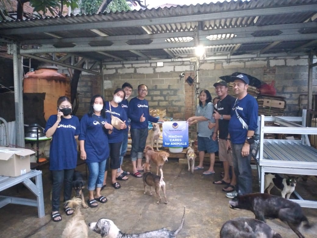 You are currently viewing NasDem Kirim Bantuan Banjir ke Shelter Hewan di Pejaten