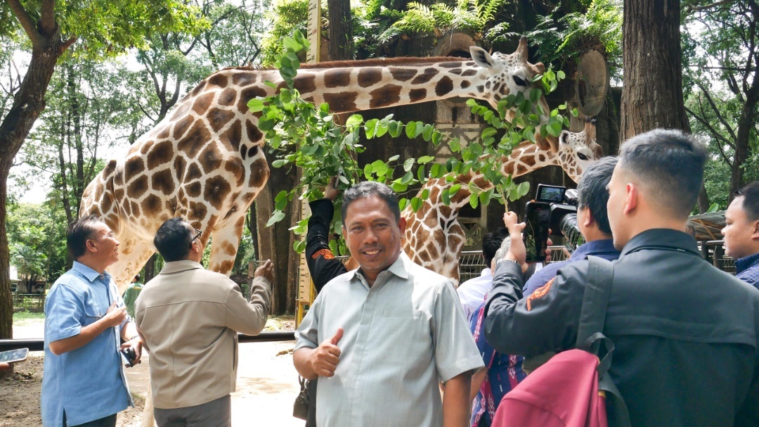 Read more about the article Idris Dorong Peremajaan Fasilitas Taman Margasatwa Ragunan