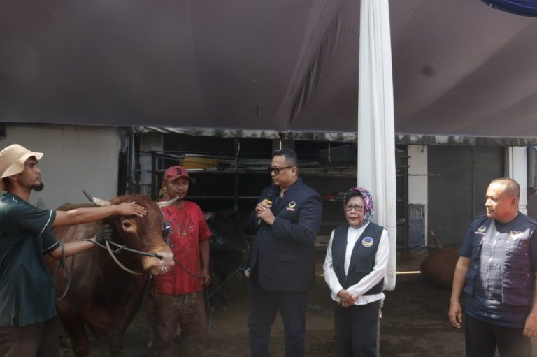 Surya Paloh Serahkan Dua Sapi Limosin ke ABN NasDem
